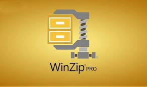WinZip Pro 29.0.16416 Free Download with Crack Full Version – Babarpc